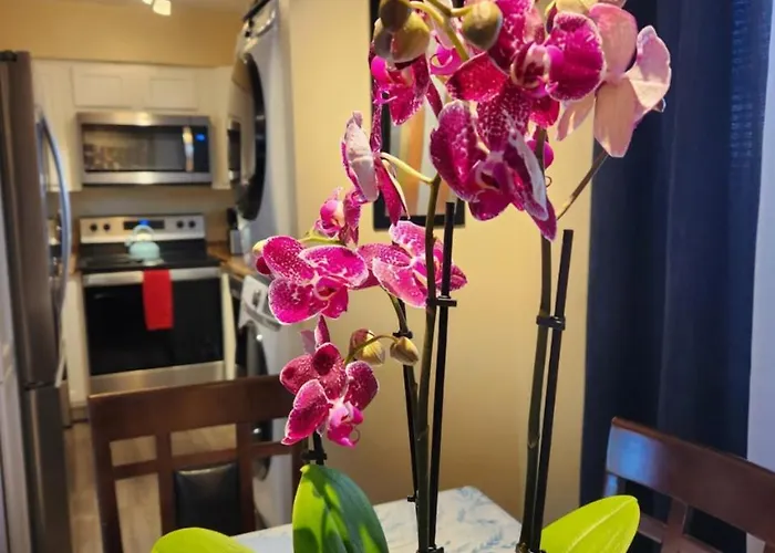 Apartment 2-bed Condo, Cook-ready Kitchen, And Laundry, 5-8 Minutes From Of Arizona And Downtown *